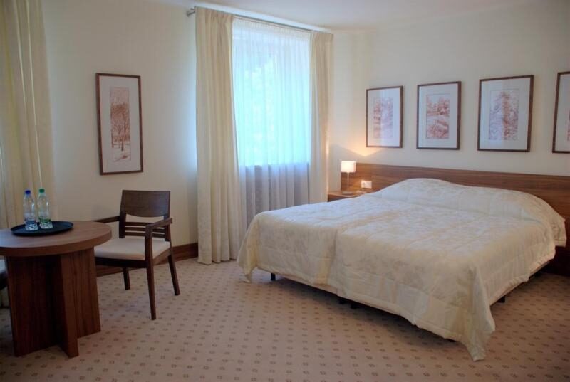 Deluxe Double or Twin Room - Hotel Termy Pałacowe